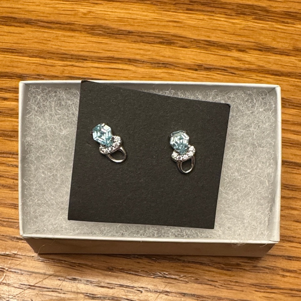 Stunning Silver and Blue Crystal Earrings